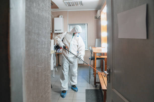 Best Asbestos and Lead Testing During Mold Inspection  in Edgewater, MD